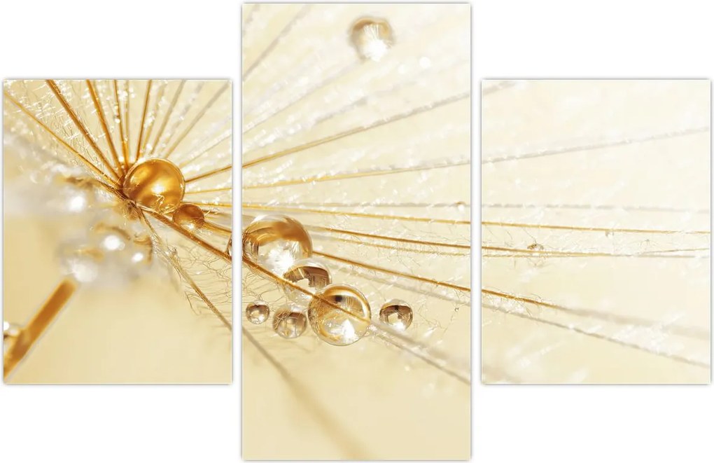 Tablou - Fotografie macro de păpădie (90x60 cm)