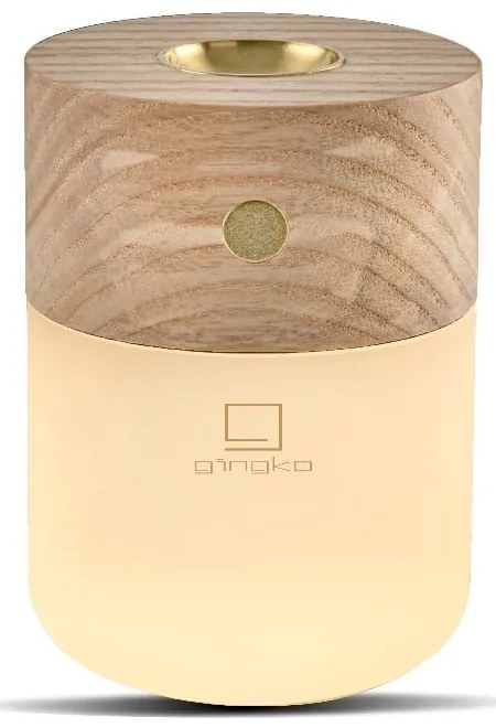 Difuzor de parfum electric Smart – Gingko