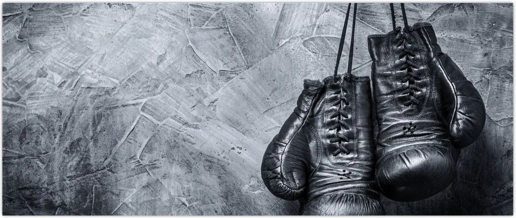 Tablou - Mănuși de box (120x50 cm)