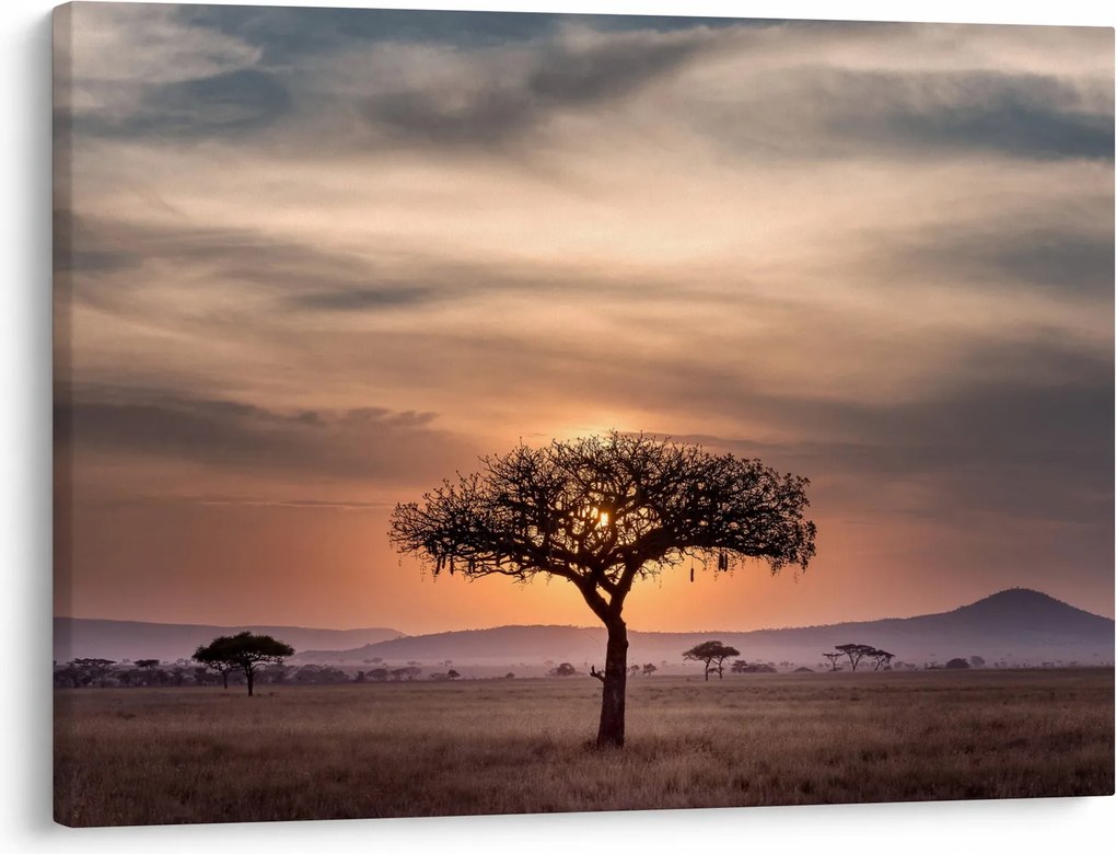 Tablou apusului de soare în Tanzania (70x50 cm)