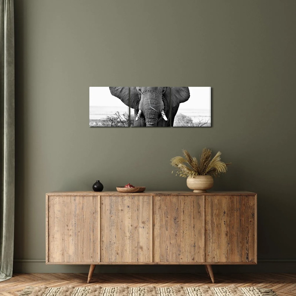Tablou - Elefantul african II. (cu ceas) (90x30 cm)