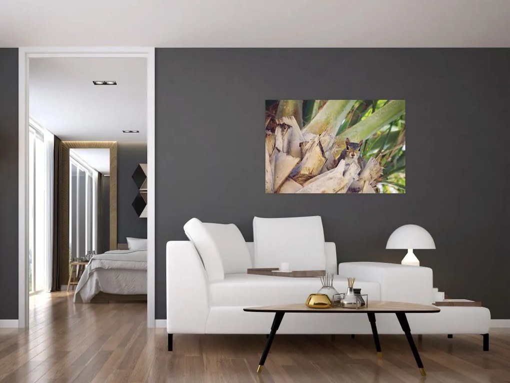 Tablou cu veverița în copaci (90x60 cm)