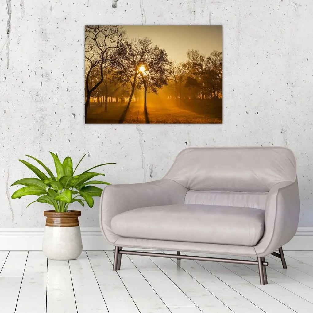 Tablou pe sticlă cu răsăsrit de soare (70x50 cm)