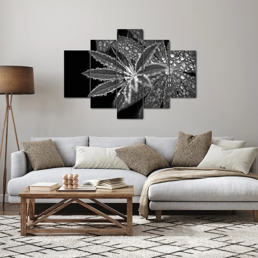 Tablou - Frunze cu picături (150x105 cm)