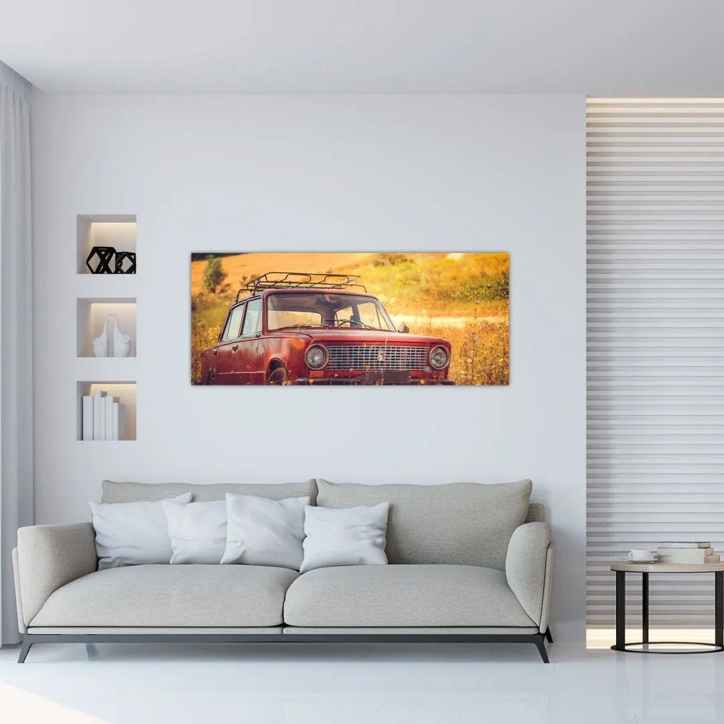 Tablou cu mașină în câmp (120x50 cm)