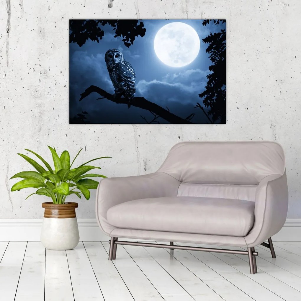Tablou - Bufnița de noapte (90x60 cm)