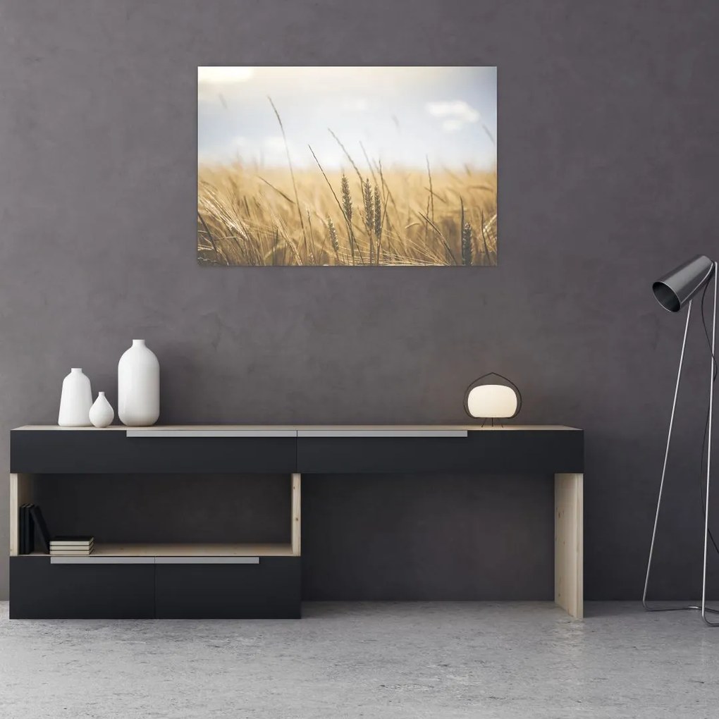 Tablou cu grâne (90x60 cm)