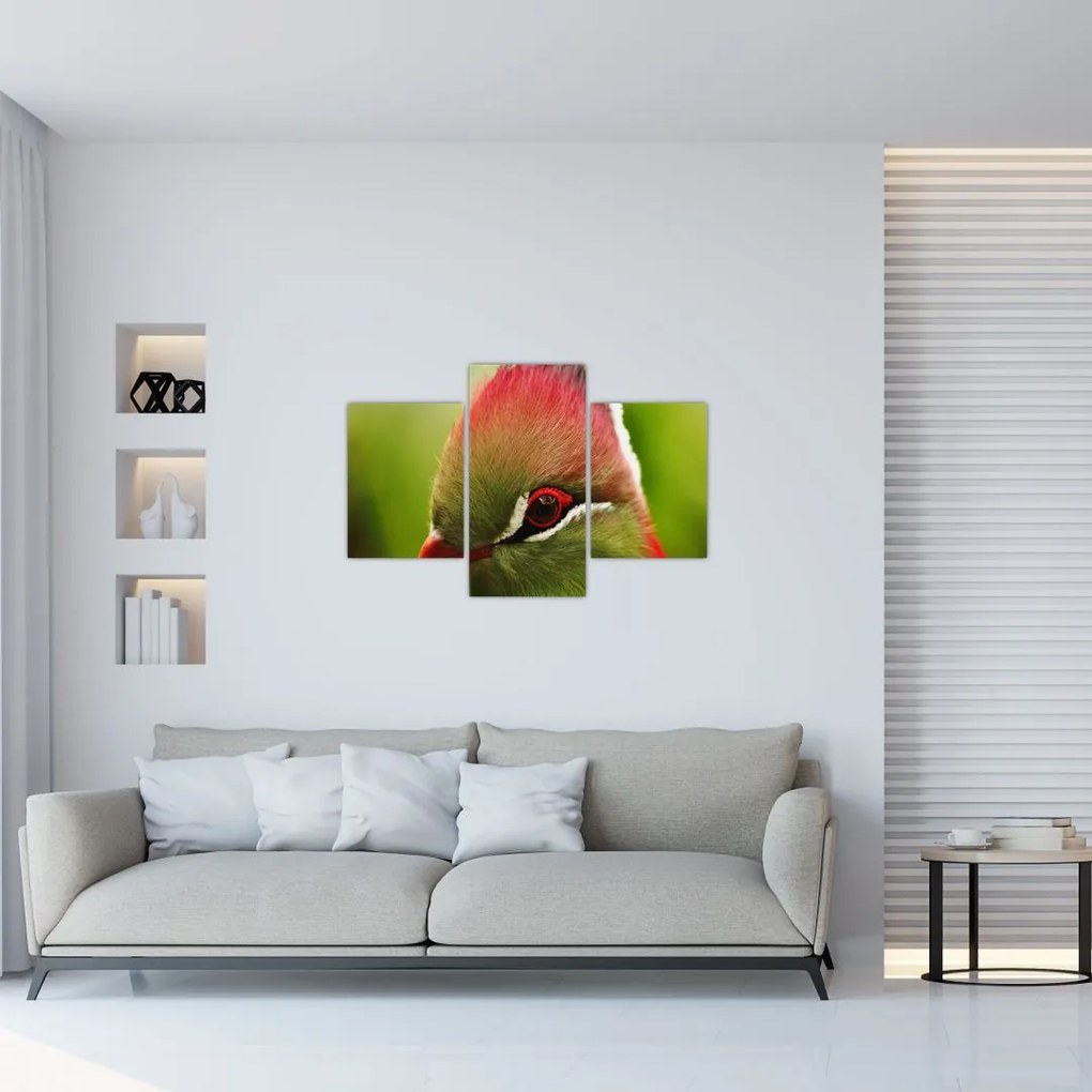 Tablou cu pasărea colorată (90x60 cm)