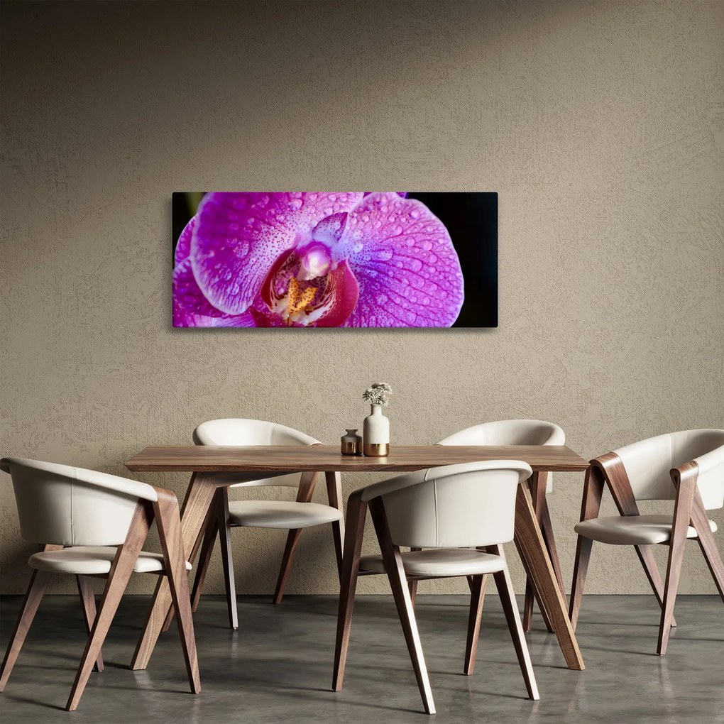 Tablou detailat cu floare de orhidee (120x50 cm)