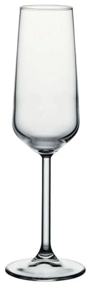 Set 6 pahare sampanie 195ml, Allegra
