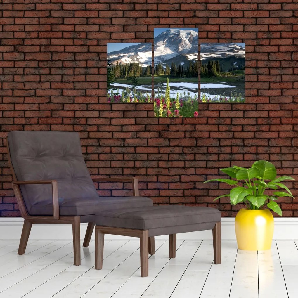 Tablou - Muntele Rainier (90x60 cm)