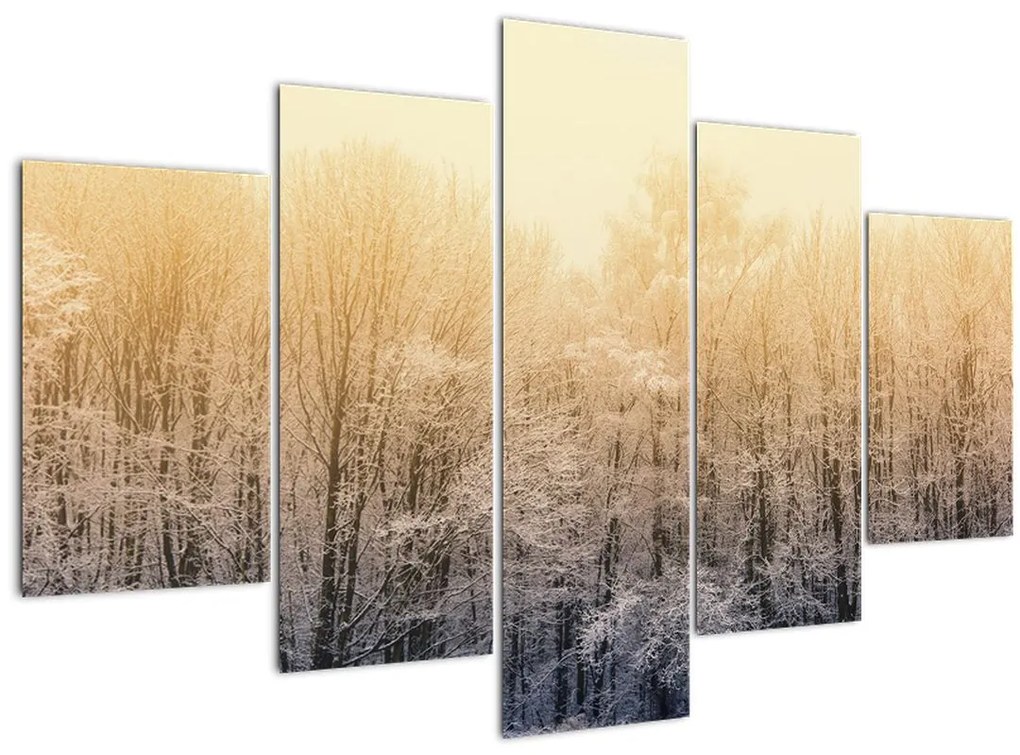Tablou cu pădure geroasă (150x105 cm)