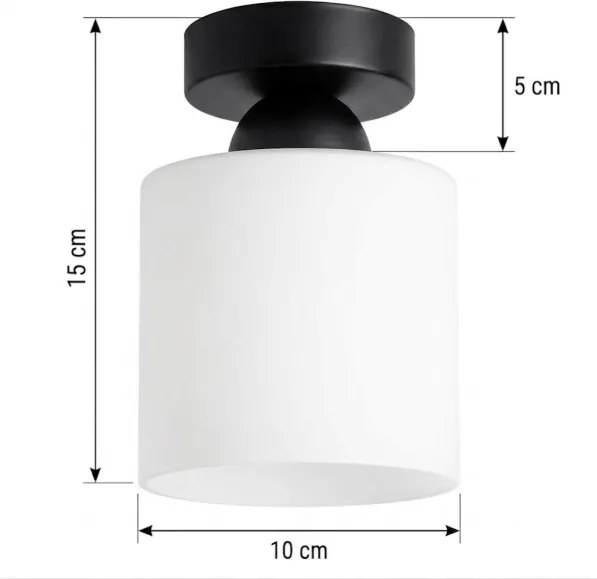 BRILAGI - Plafonieră LED RETRO GLASS 1xE27/60W/230V Ø 10 cm negru/alb