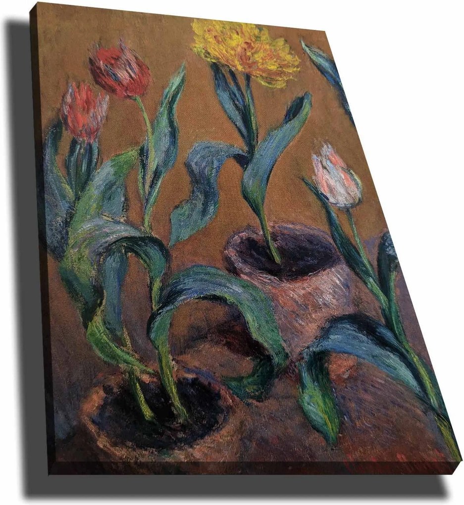 Tablou 678CLD1139, multicolor, panza, 70x100 cm
