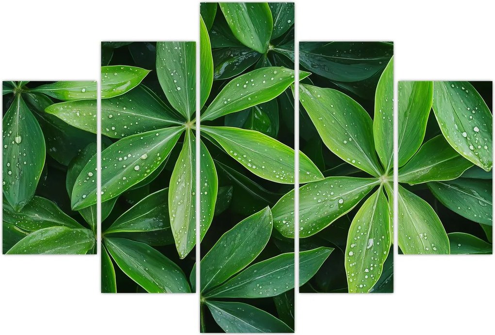 Tablou - Frunze cu picături de rouă (150x105 cm)