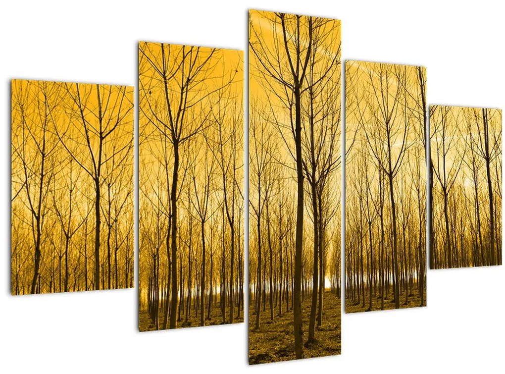 Tablou cu pădure în apus de soare (150x105 cm)