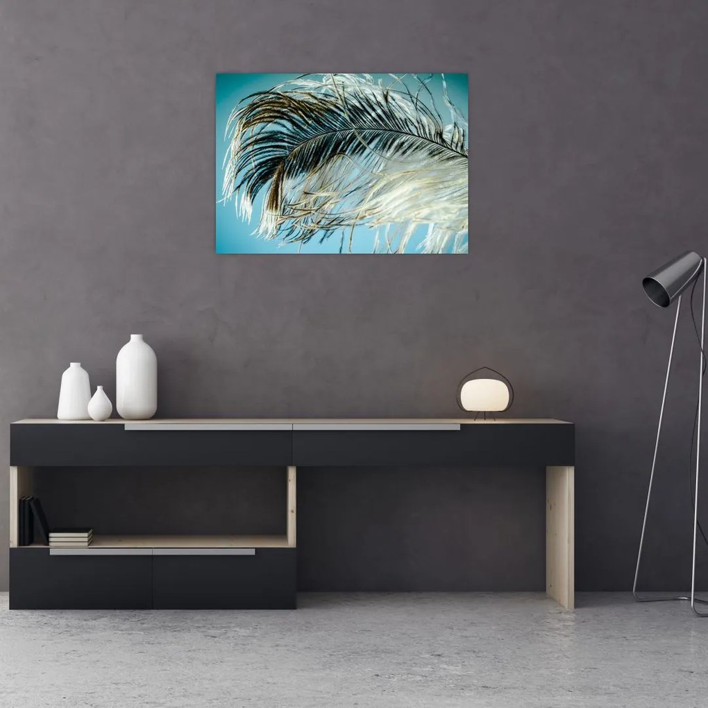 Tablou cu pană (70x50 cm)