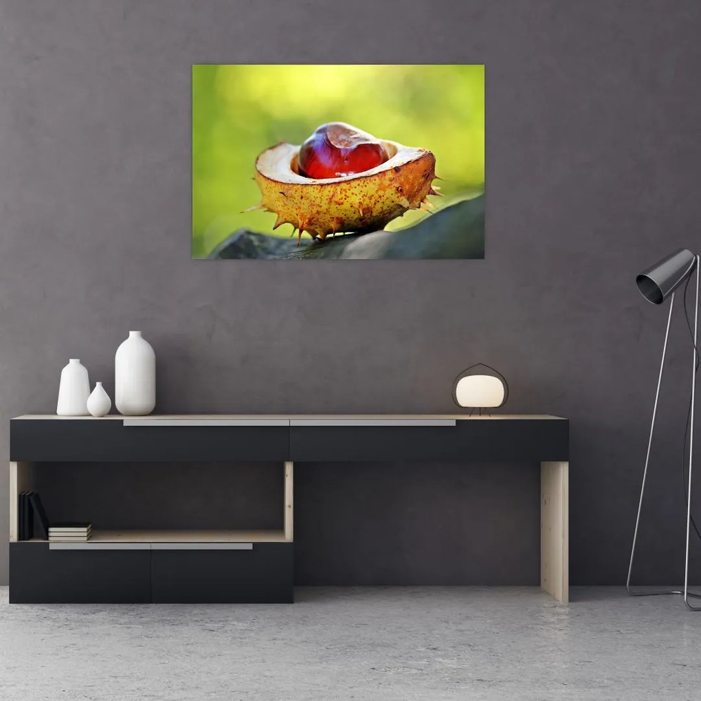 Tablou cu castani (90x60 cm)