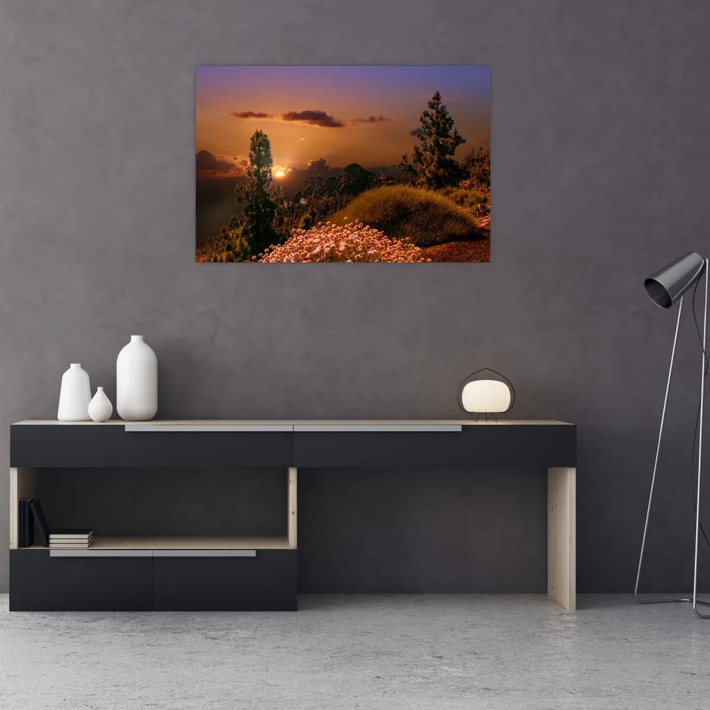 Tablou naturii cu apus de soare (90x60 cm)