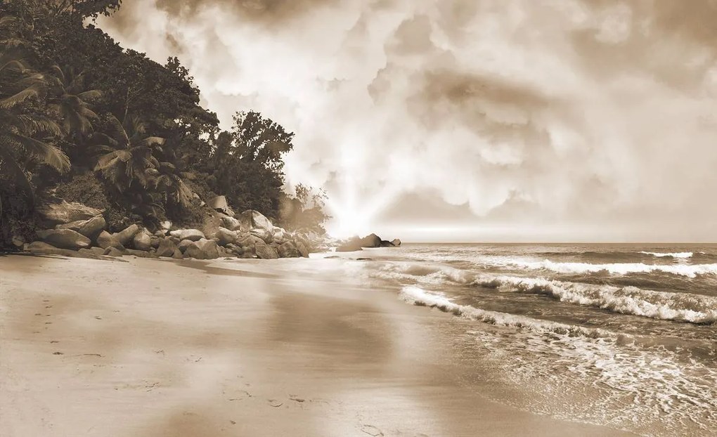 Fototapet - Plaja - Sepie (152,5x104 cm)