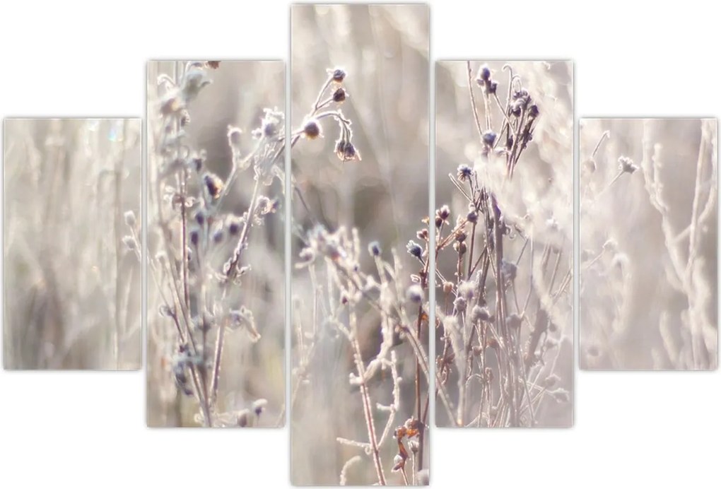 Tablou - Plante (150x105 cm)