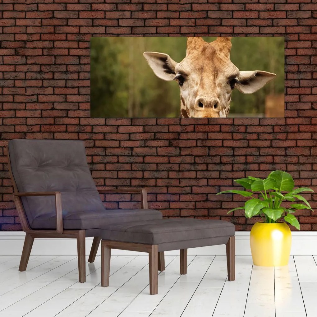Tablou girafe (120x50 cm)