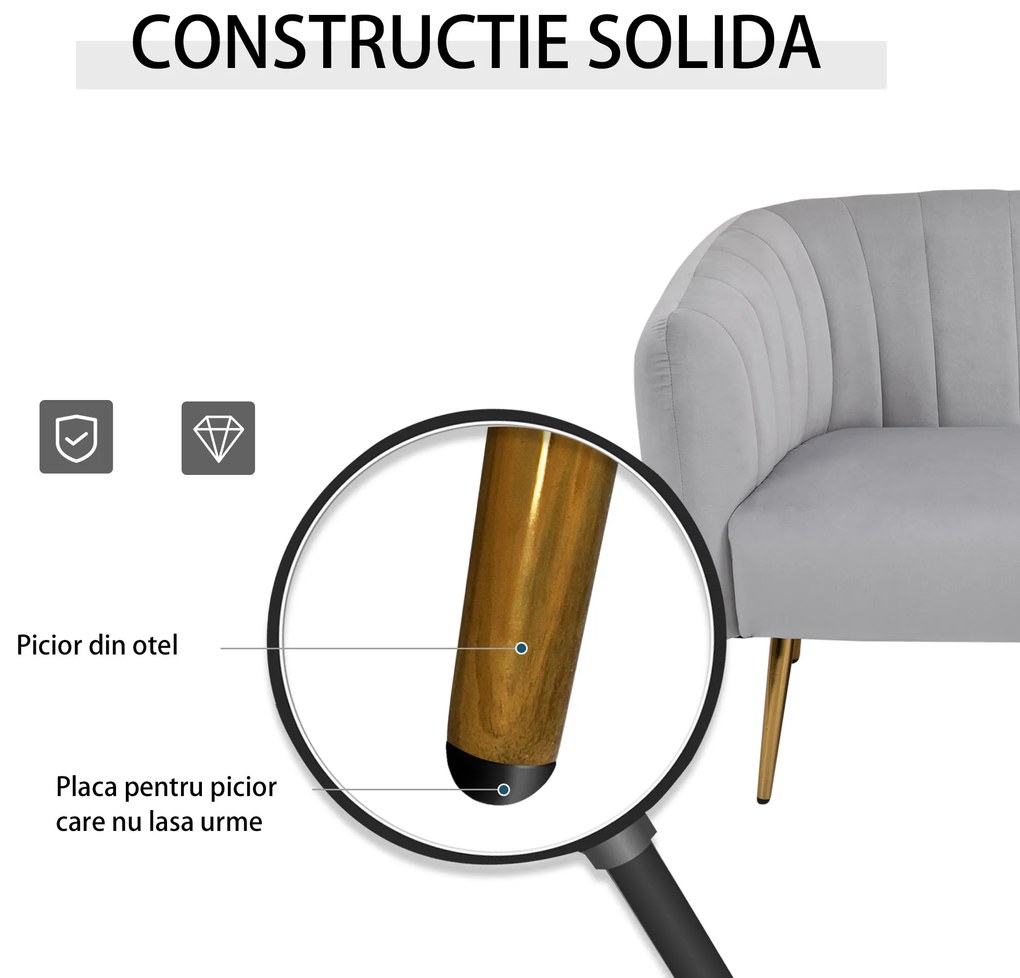 HOMCOM Canapea 2 Locuri Design Modern Captusita cu Cotiere si Spatar, Gri