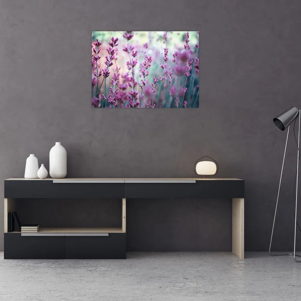 Tablou - Lavandă (70x50 cm)