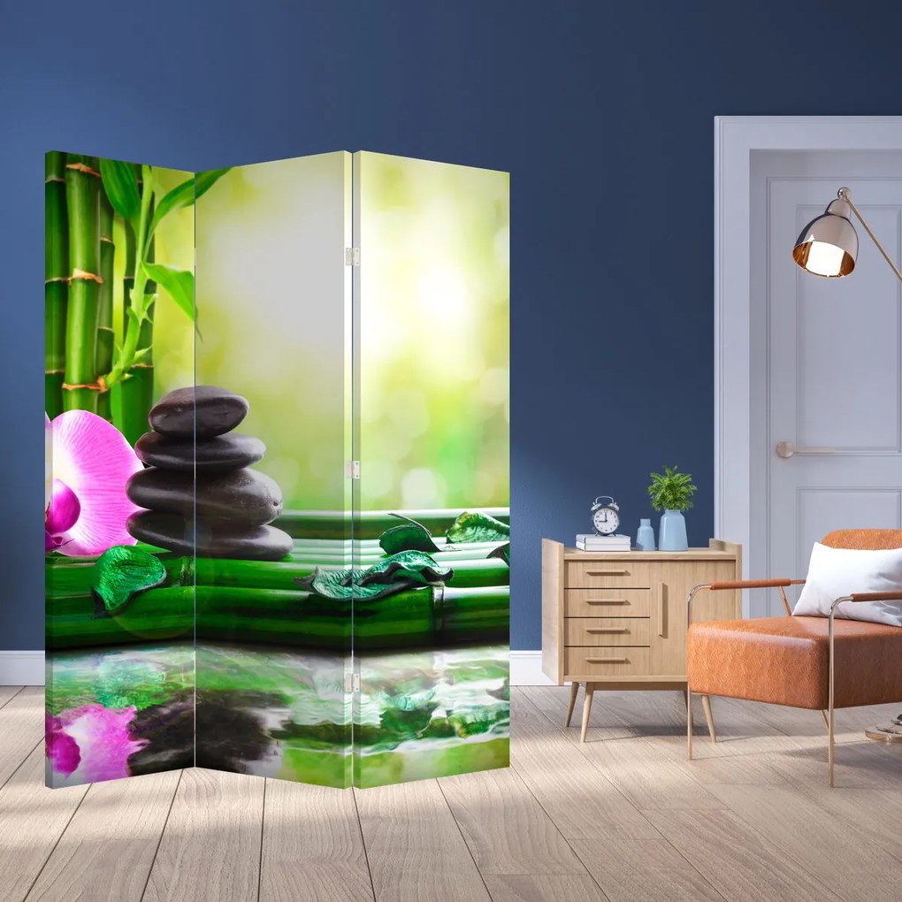 Paravan - Pietre pentru masaj și orhidee (126x170 cm)