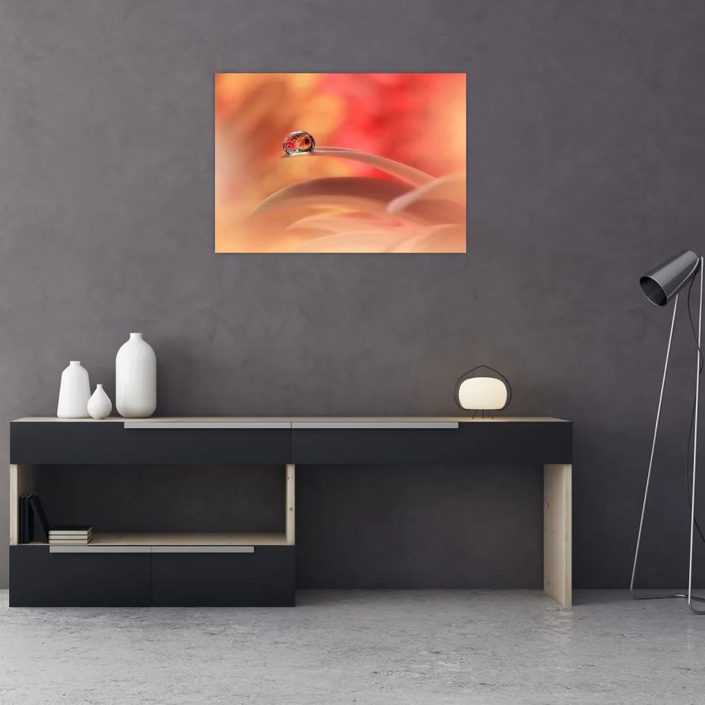 Tablou pe sticlă picăturii de rouă pe floare (70x50 cm)