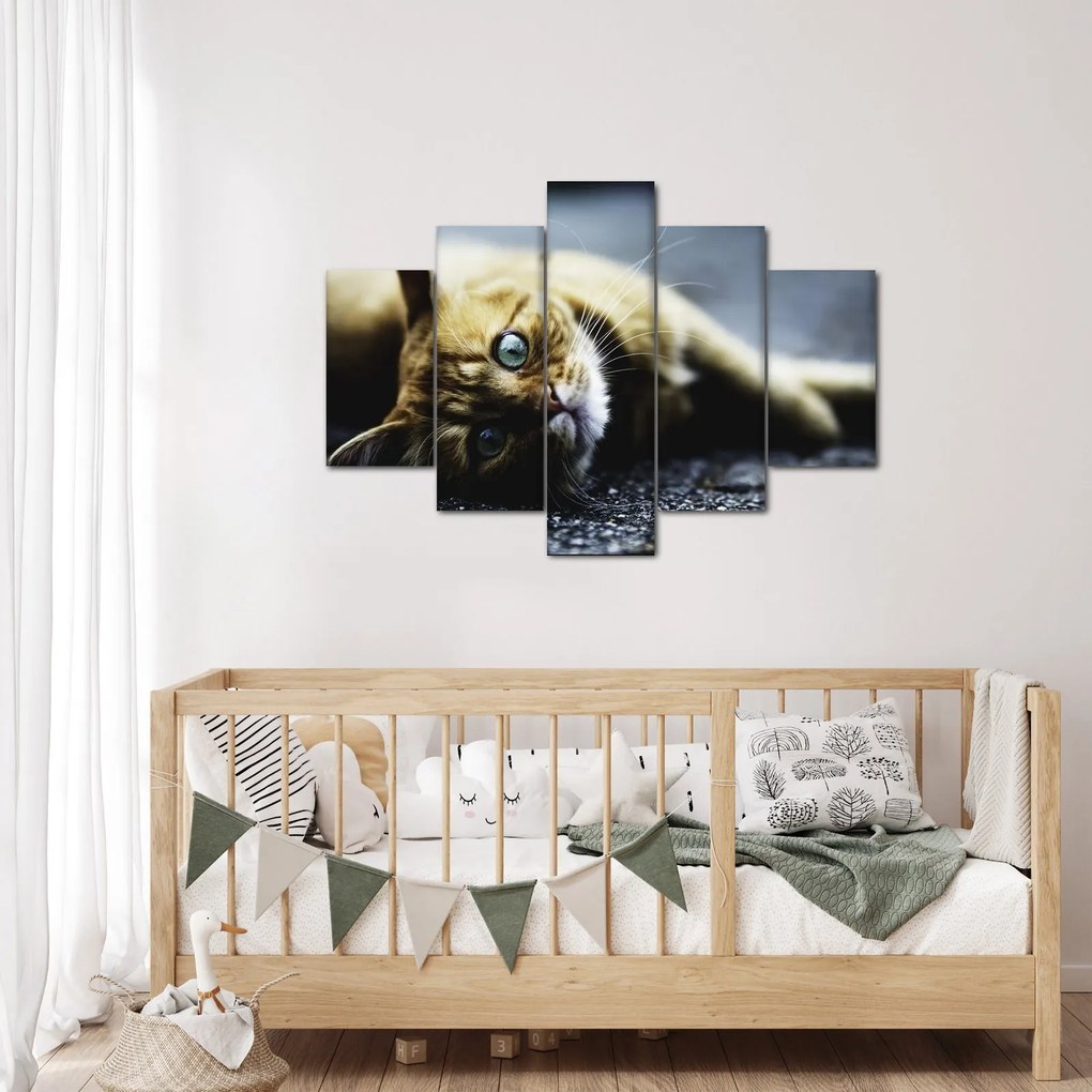 Tablou cu pisica (150x105 cm)