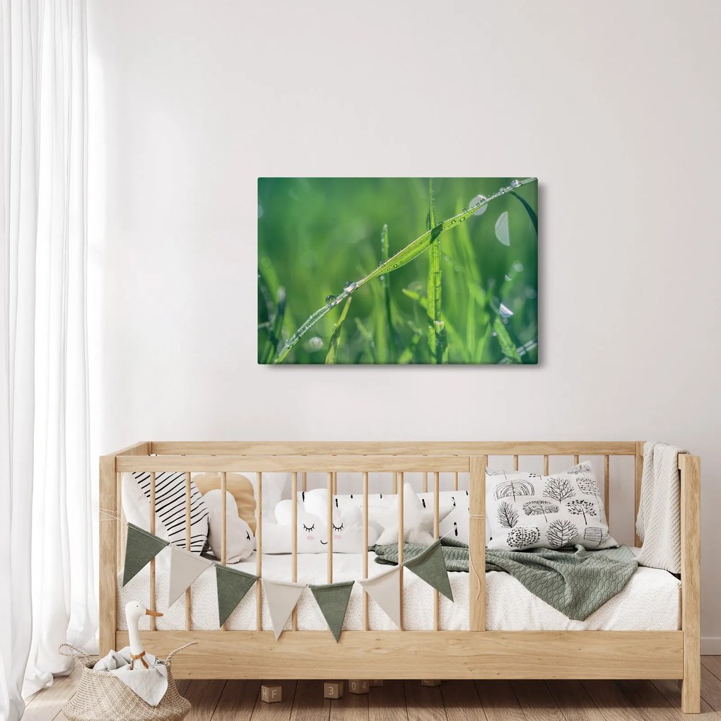 Tablou cu picături de rouă (90x60 cm)