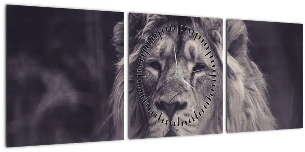 Tablou cu leu (cu ceas) (90x30 cm)