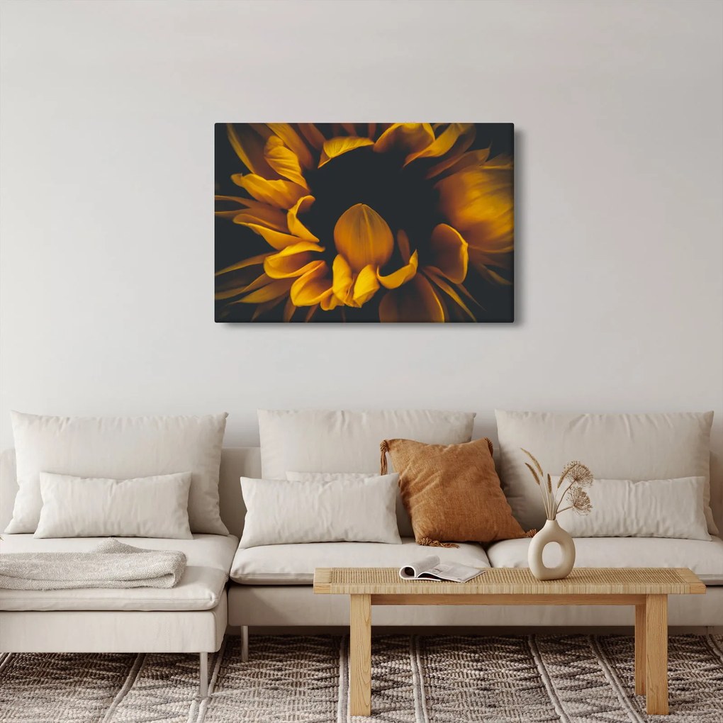 Tablou - Floarea-soarelui în fundal negru (90x60 cm)