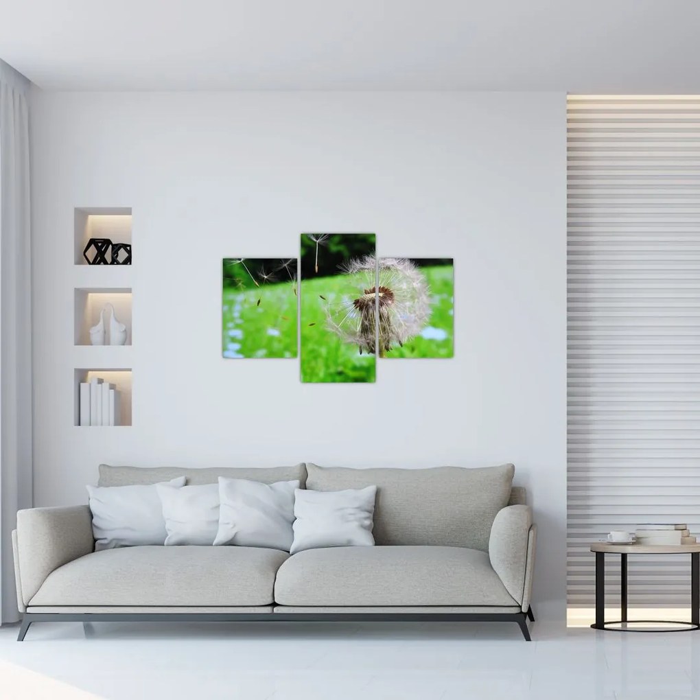 Tablou cu păpădie (90x60 cm)