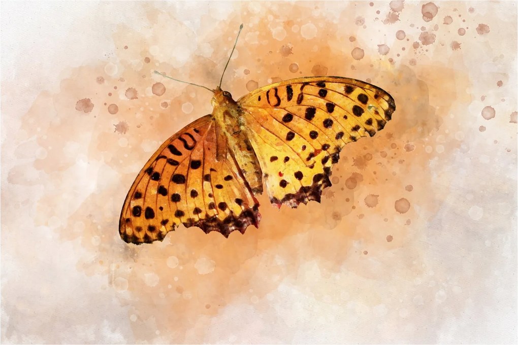 Tablou - Fluture portocaliu, aquarelă (90x60 cm)