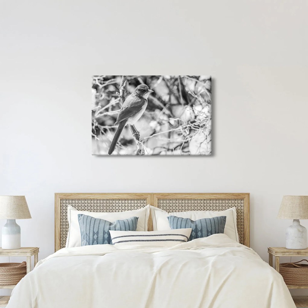Tablou - Bluebird în timpul iernii (90x60 cm)