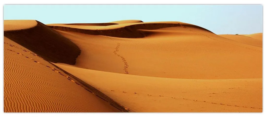 Tablou - Pași în deșert (120x50 cm)