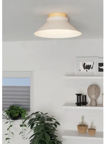 Plafonieră Eglo 900736 MOHARRAS 1xE27/40W/230V