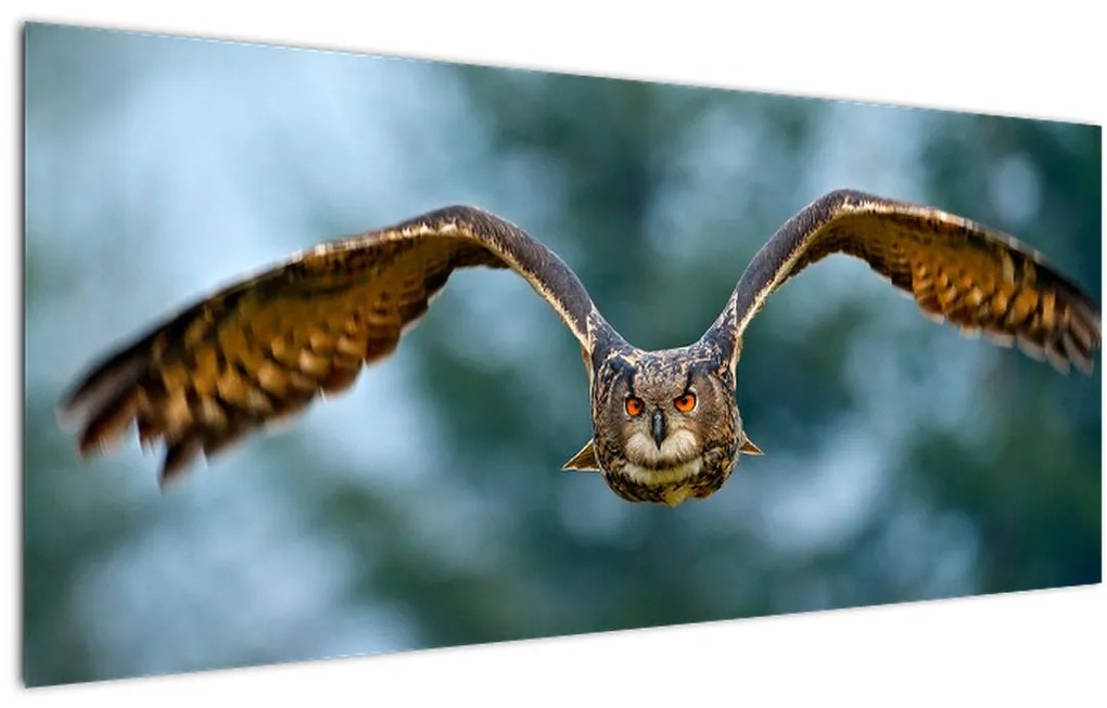 Tablou -Bufnita în zbor (120x50 cm)