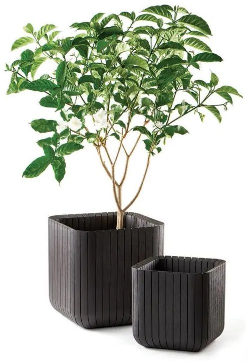 Ghiveci CUBE PLANTER M, maro