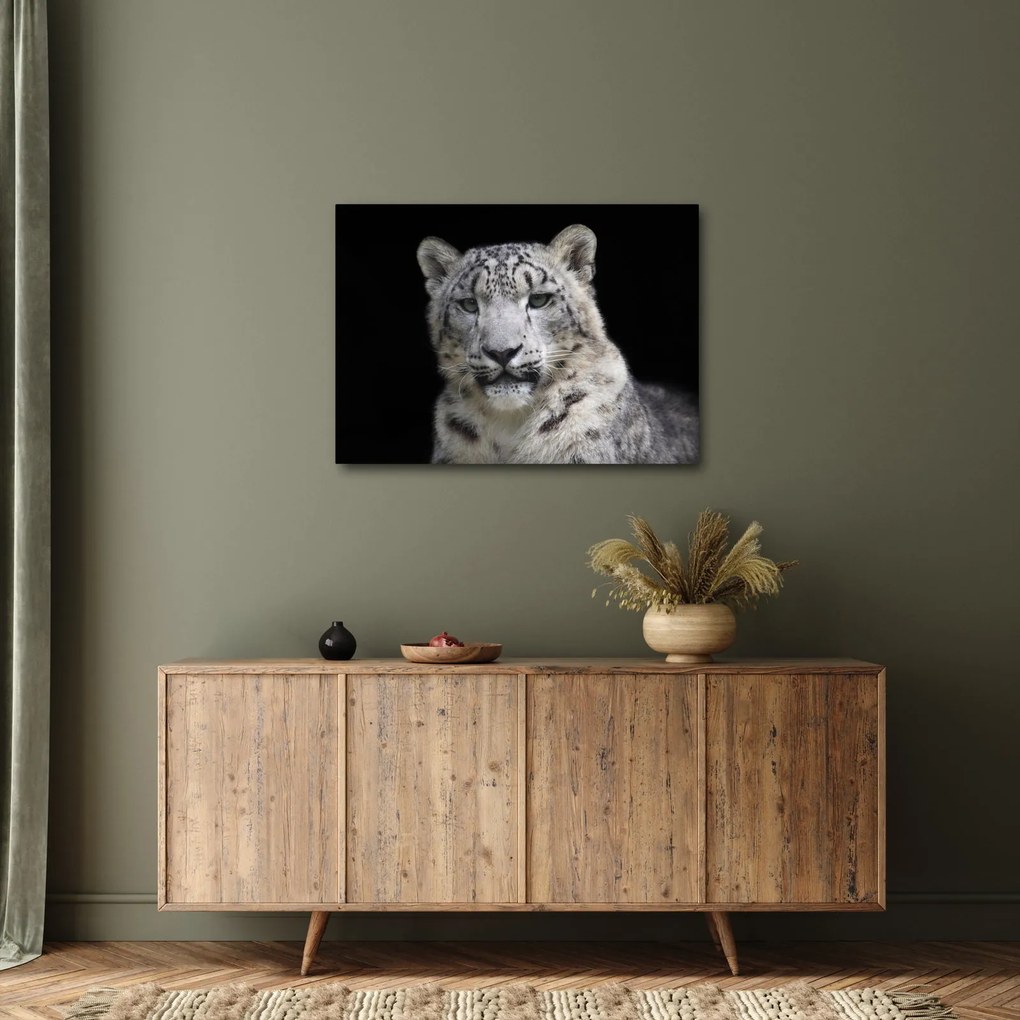 Tablou - Snow Leopard (70x50 cm)