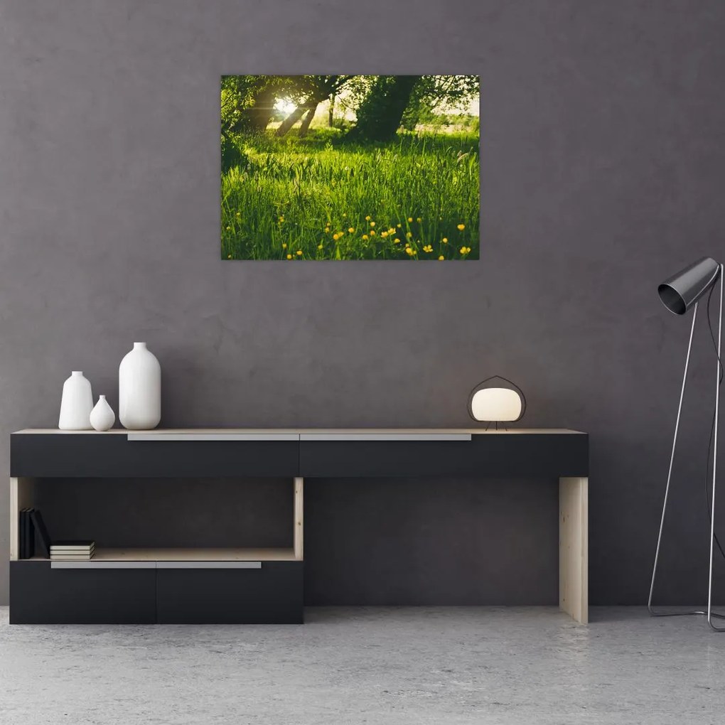 Tablou cu natura - lunca (70x50 cm)