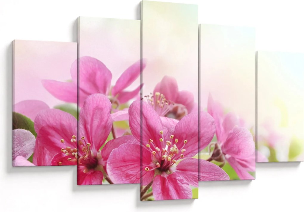 Tablou - Flori roz (150x105 cm)