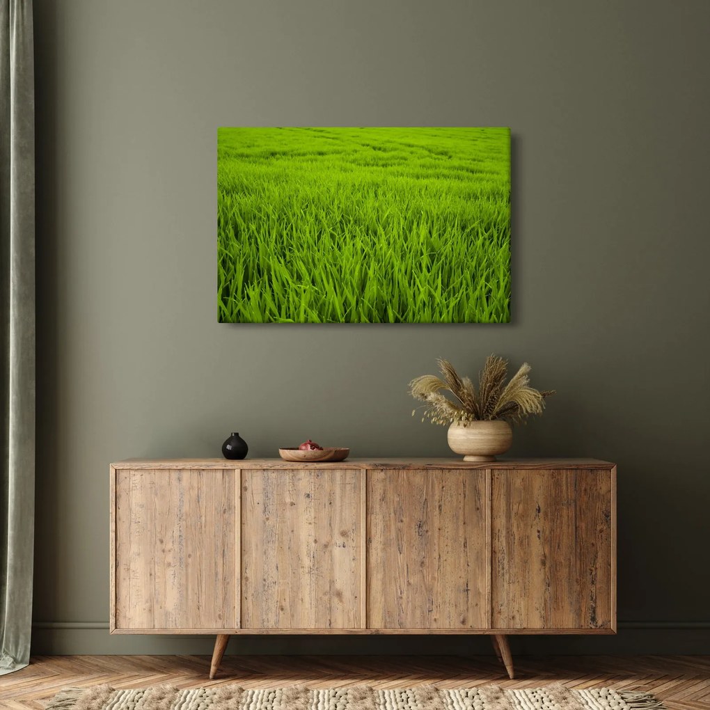 Tablou cu iaraba (90x60 cm)