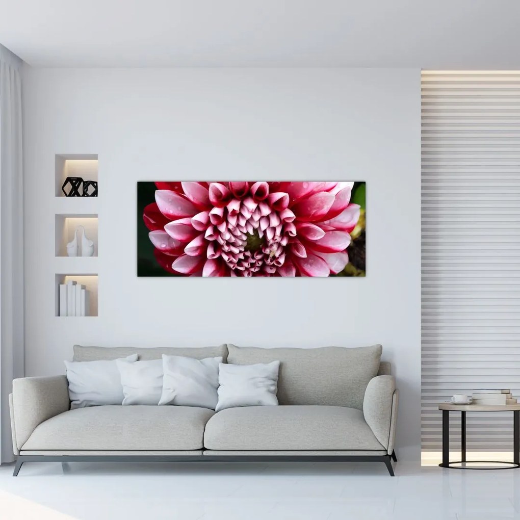 Tablou cu dalie roz (120x50 cm)