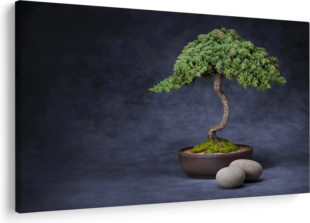 Tablou - Bonsai (90x60 cm)