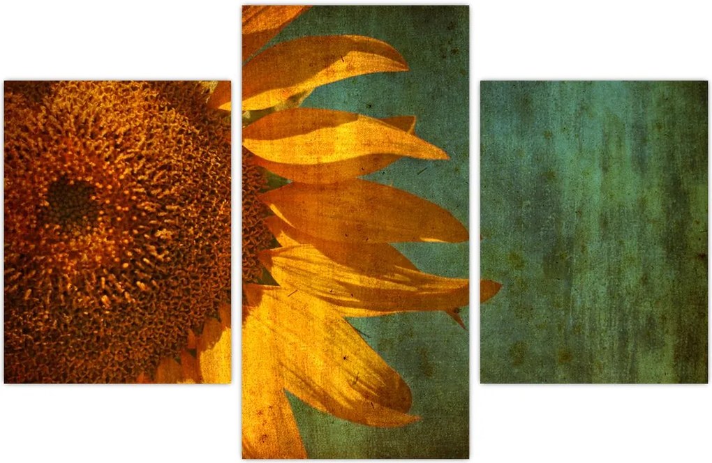 Tablou - Floarea soarelui (90x60 cm)