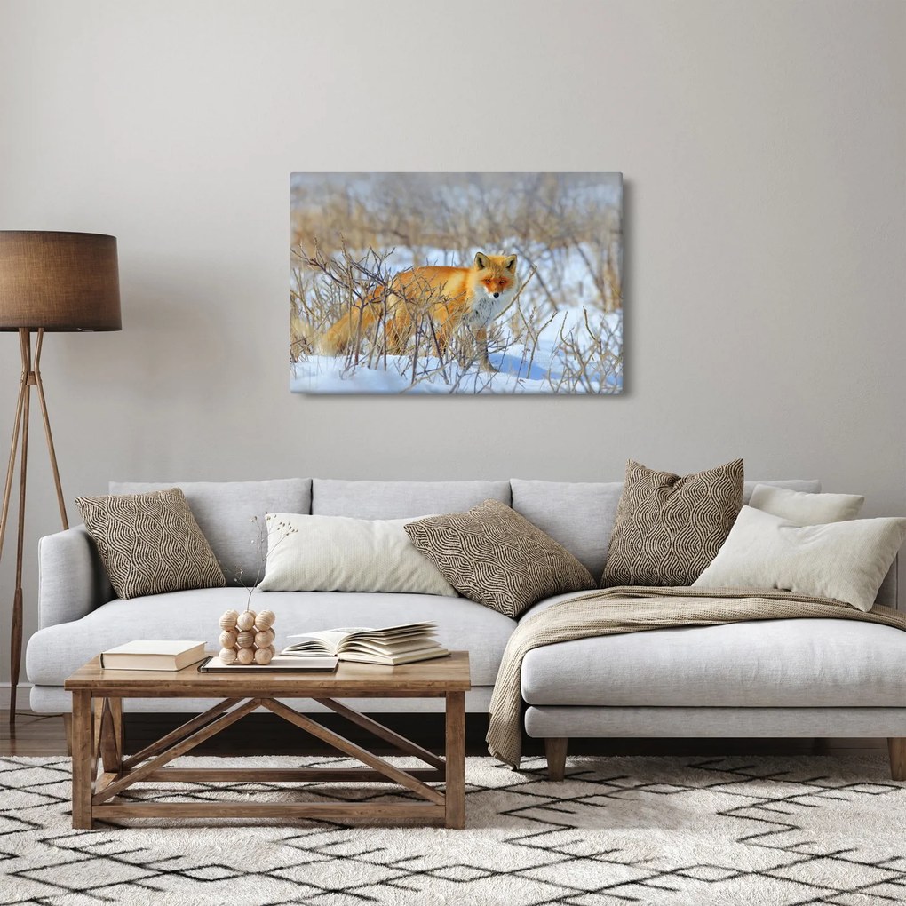 Tablou - Vulpe (90x60 cm)