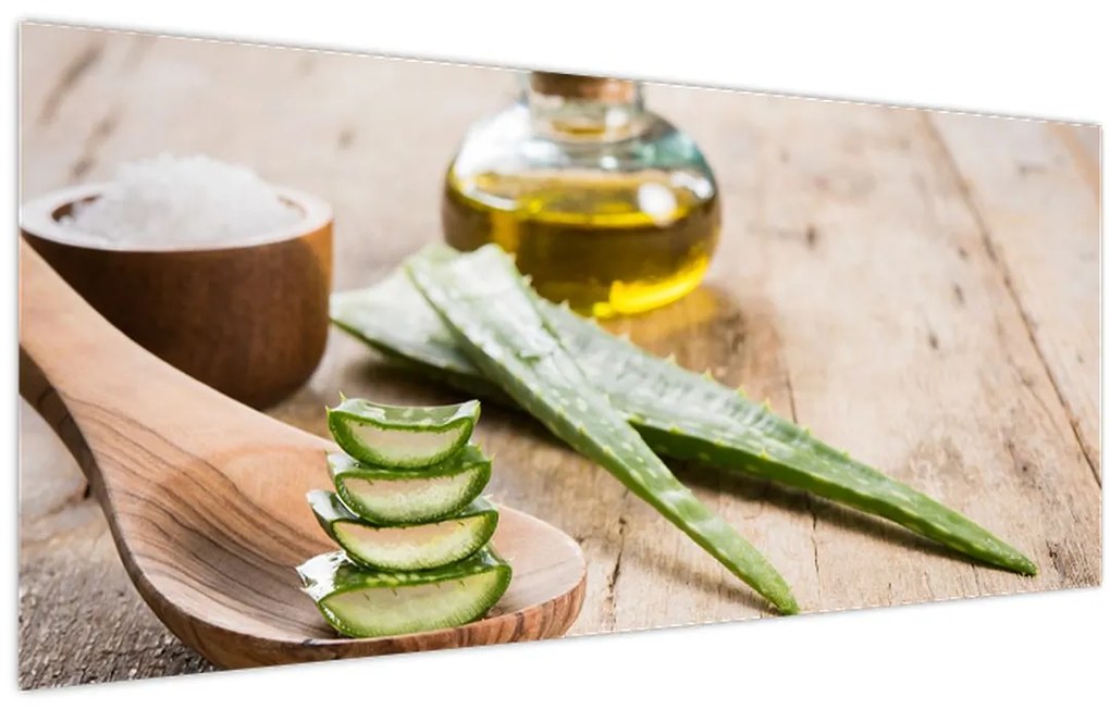 Tablou - Aloe vera (120x50 cm)